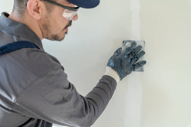 Best Residential Mold Inspection & Testing  in St George, UT