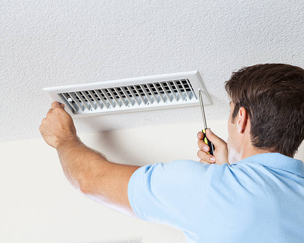 Environmental Consulting for Mold Prevention in St George, UT