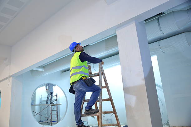 Best Real Estate Mold Inspection  in St George, UT